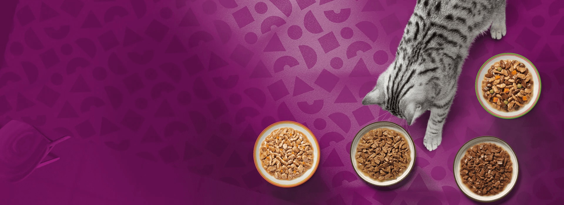 product hero header