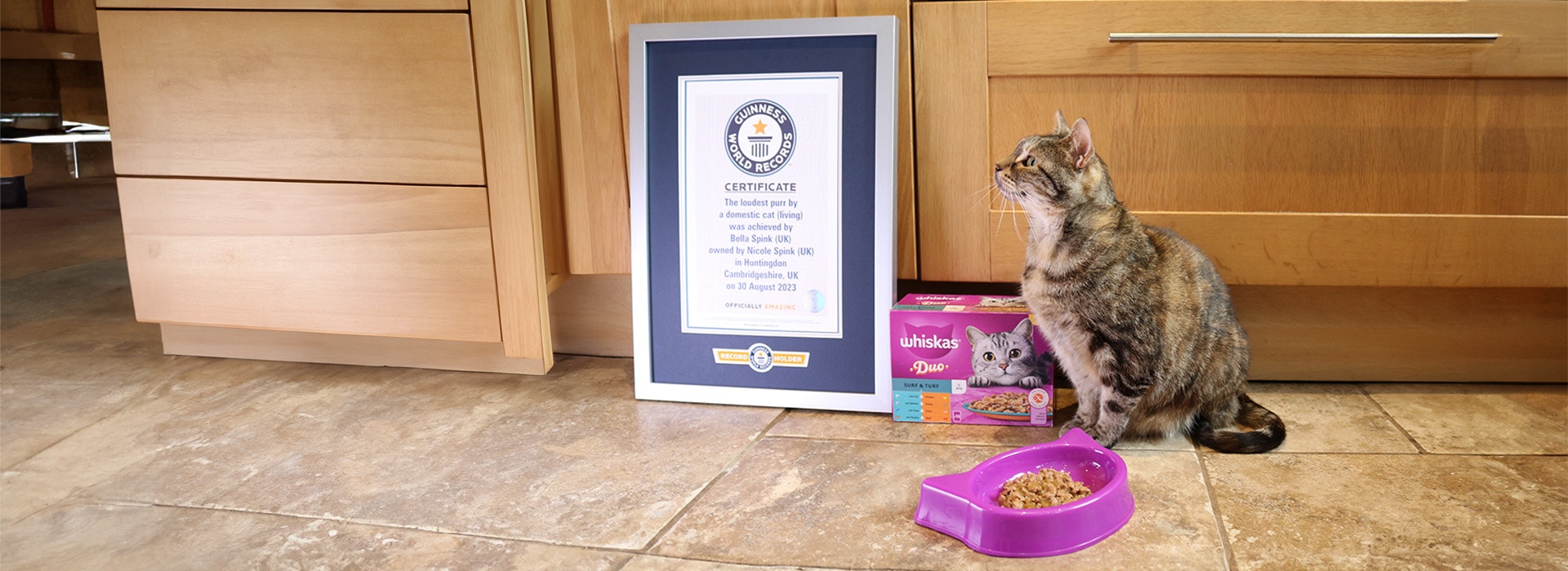 Whiskas Guinness World Records Hero Image