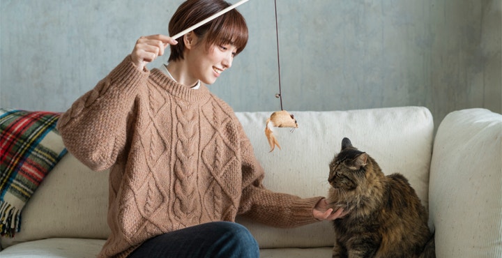 faire-garder-son-chat-bien-choisir-sa-cat-sitter.jpg