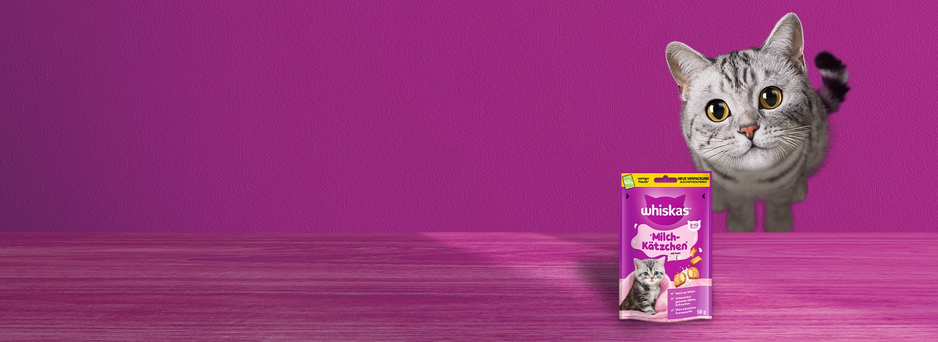Milch-Kätzchen