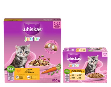 Junior Produkte