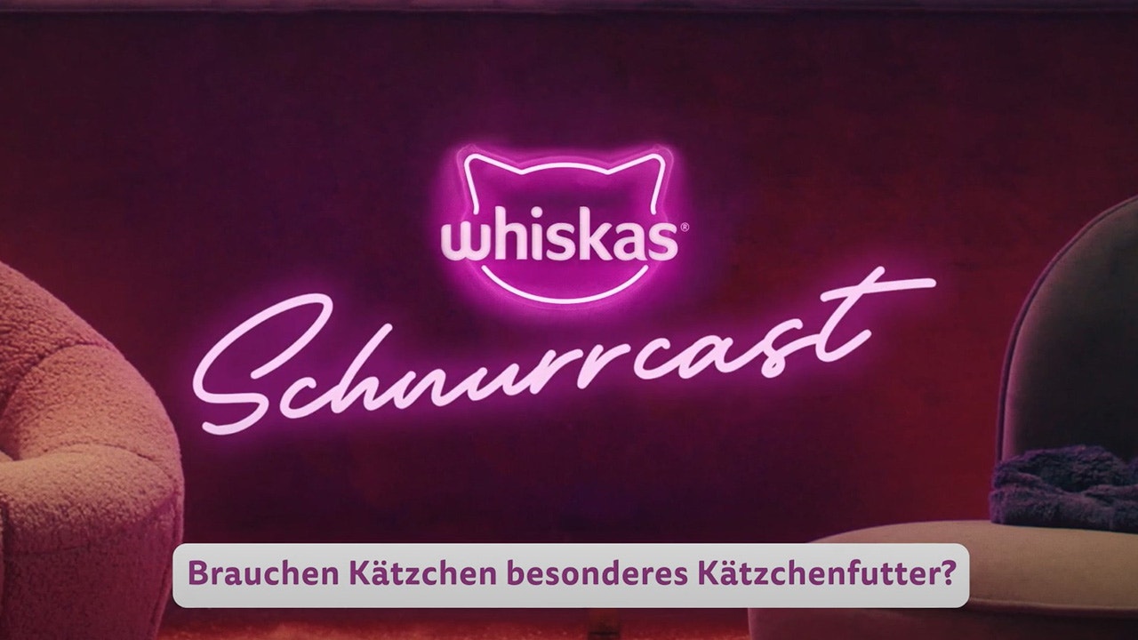 Welche Nährstoffe braucht ein Katzenbaby und weshalb?